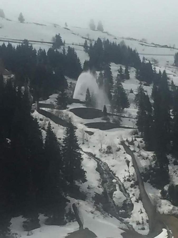 Na Pograniczu Domek W Gorach Lasowka Exteriér fotografie